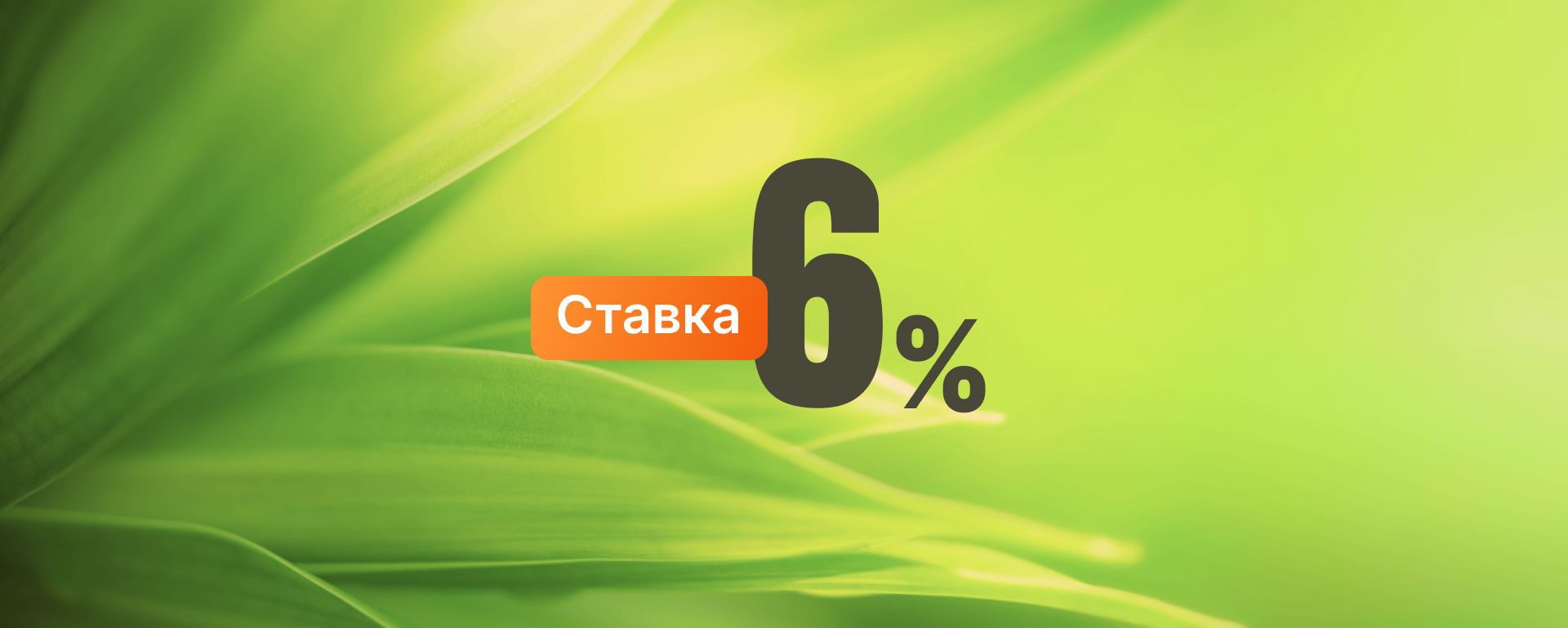 <strong>Ипотека для всех!</strong><br>+скидка</strong>