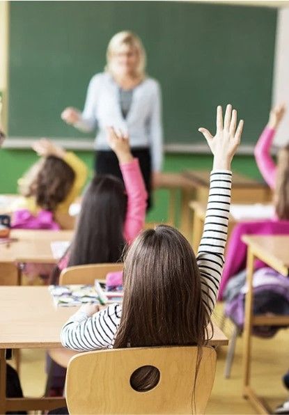 Своя школа и сады